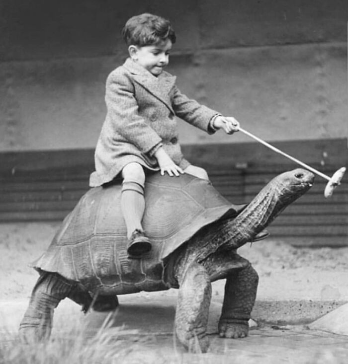 Child riding a tortoise in a vintage photo, capturing a moment to learn from the past and shape the future.