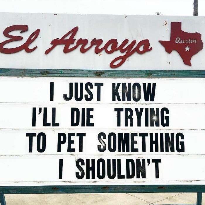 El Arroyo sign with the humorous message: "I just know I’ll die trying to pet something I shouldn’t."