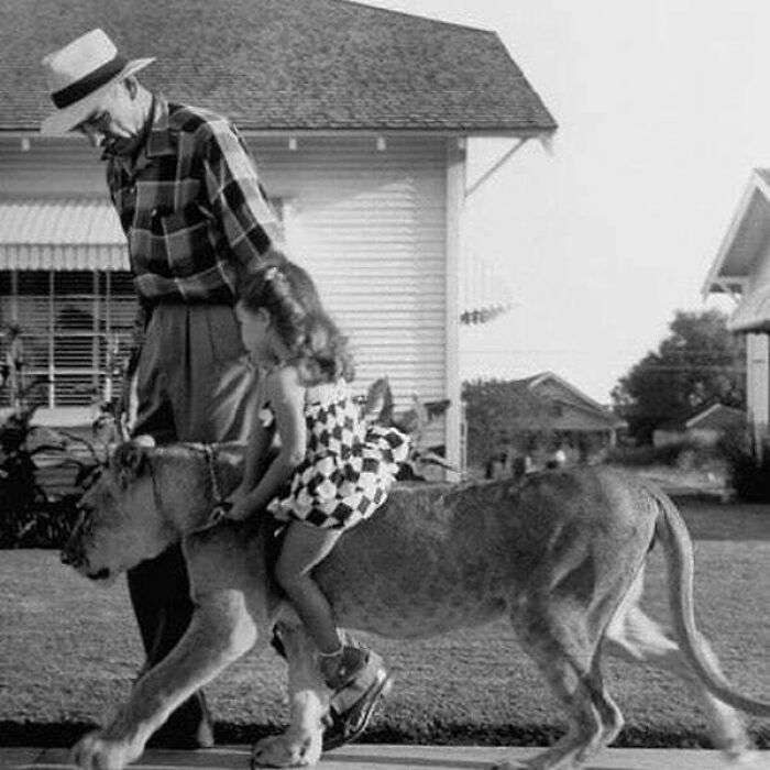 Man walking with child riding a lion, capturing a unique historical moment.