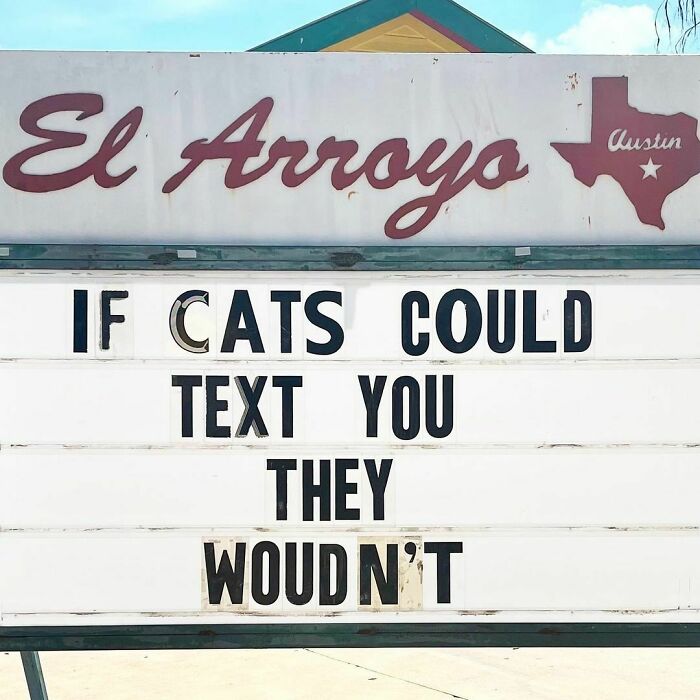 El Arroyo sign humorously states, "If cats could text you they wouldn't."