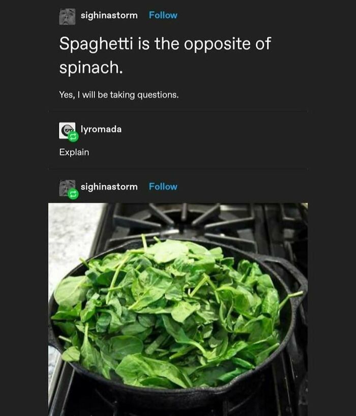 Humorous meme comparing spaghetti and spinach with a witty text exchange.