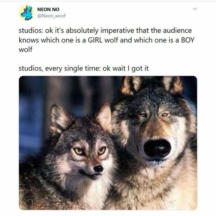 Two wolves humorously depicted with exaggerated features in a meme about gender distinctions in culture.