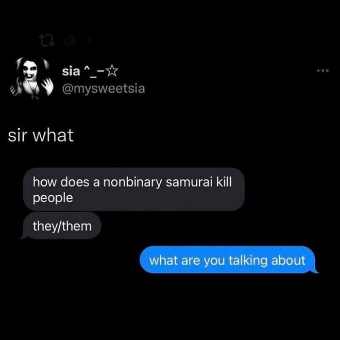 Chat conversation meme with a nonbinary samurai joke, highlighting humor and culture in online interactions.