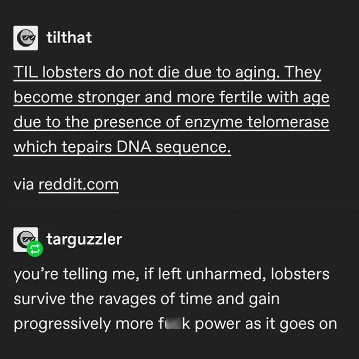 Meme about lobsters not aging and gaining power, highlighting unusual nature facts with a humorous twist.