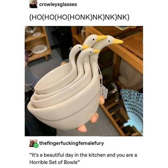 Ceramic duck-shaped bowls stacked together in a humorous meme about kitchenware.