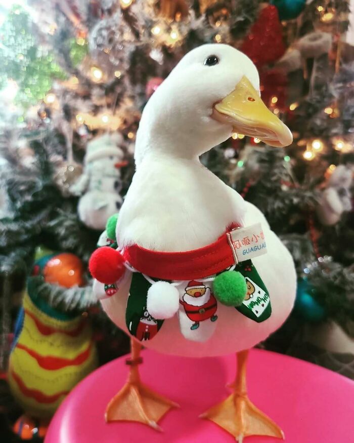 Cute duck in a Christmas-themed scarf stands joyfully by a festive tree, embodying funny Christmas animals.