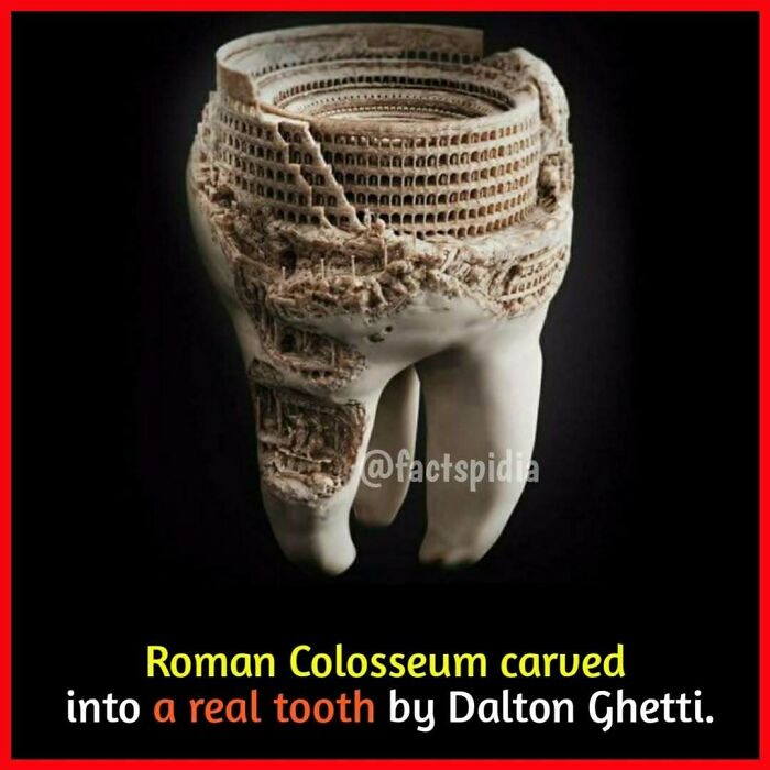 Roman Colosseum intricately carved into a real tooth by Dalton Ghetti; a surprising fact for know-it-alls.