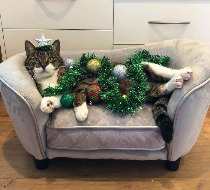 Cute cat lounging on a mini couch, adorned with Christmas tinsel and ornaments, embodying funny Christmas animals theme.