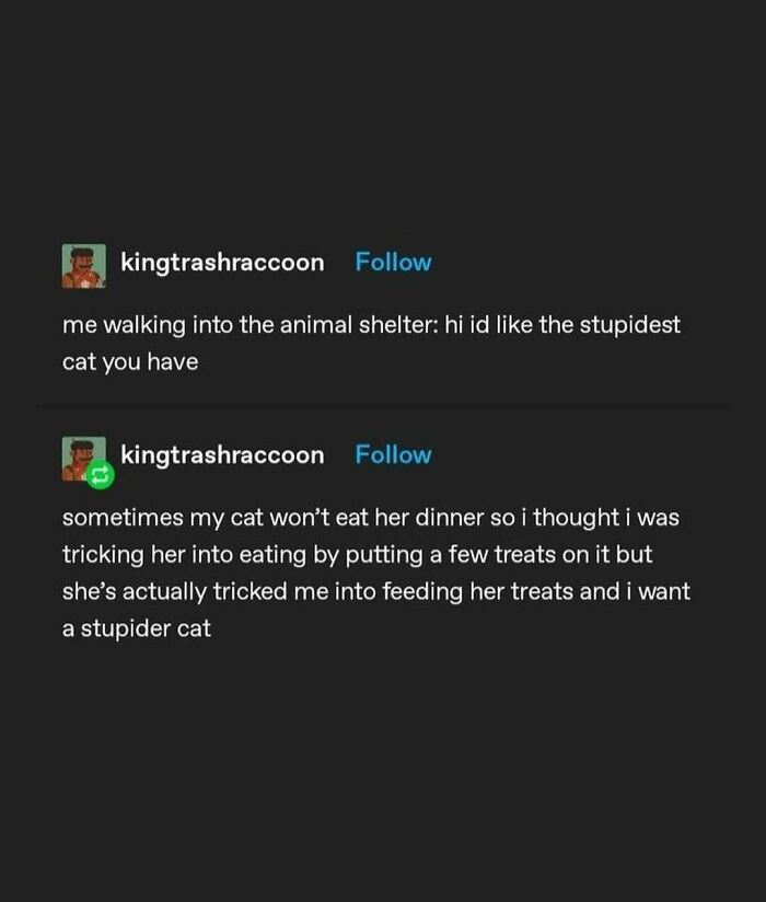 Funny meme about cats and their sneaky behavior shared by user kingtrashraccoon.