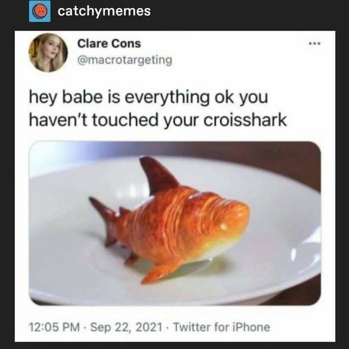 A croissant shaped like a shark, humorously called a "croisshark", on a plate.