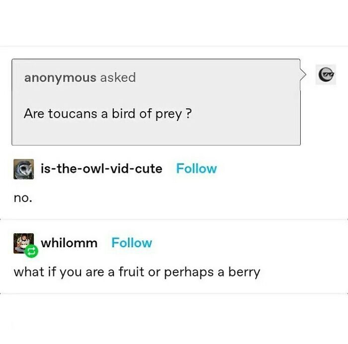 Funny meme exchange about toucans and fruit, highlighting humor and culture in social media interactions.