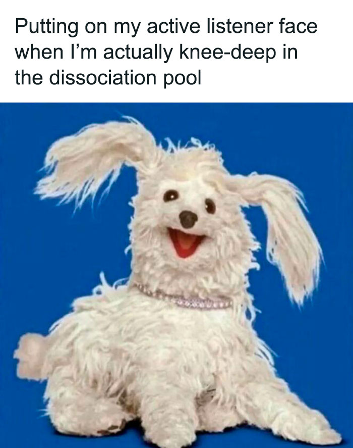 Fluffy dog meme depicting relatable mental health humor on dissociation, features text about active listening.