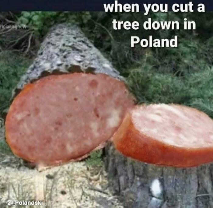 Funny-Polish-Memes