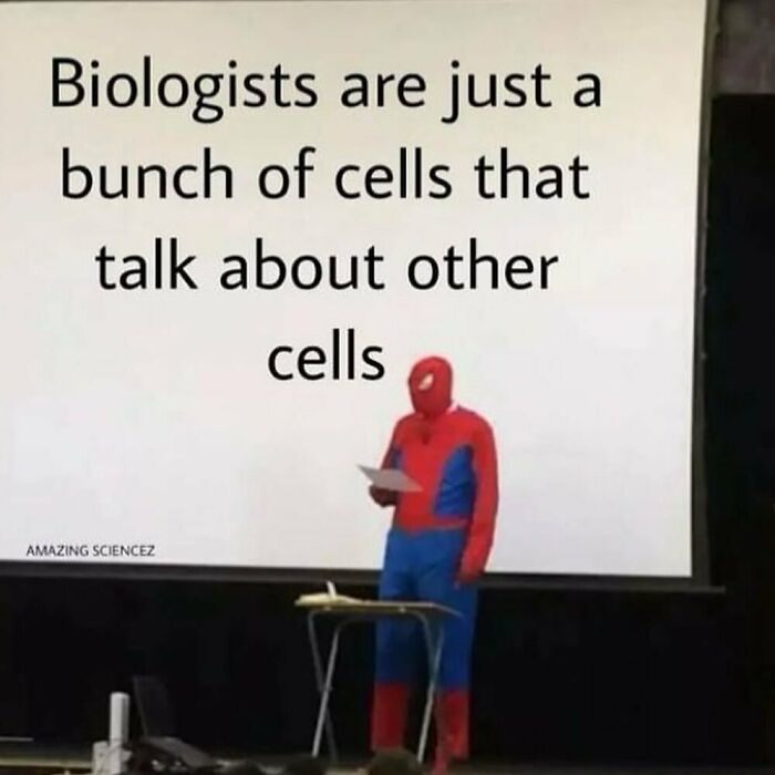 A person in a Spider-Man suit reading a note on stage with a funny science meme about biologists and cells projected above.