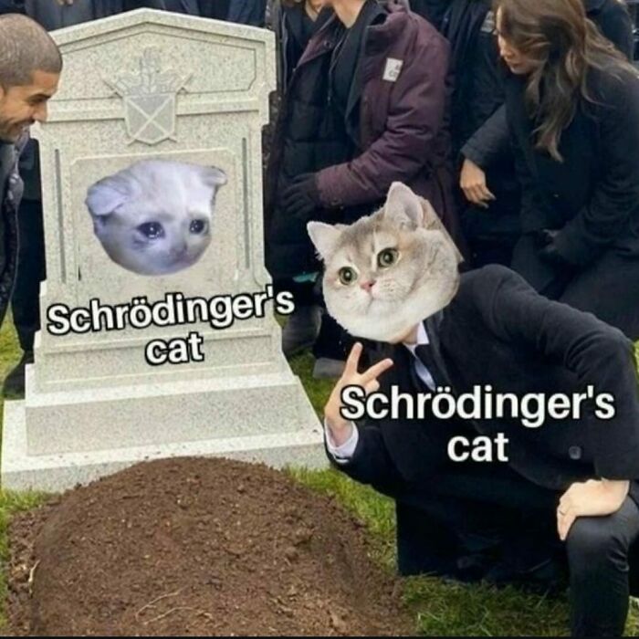 A humorous science meme featuring Schrödinger's cat theme at a grave with people around.