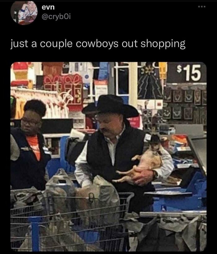 Man shopping with a dog wearing a cowboy hat, funny pet meme scene in a store.