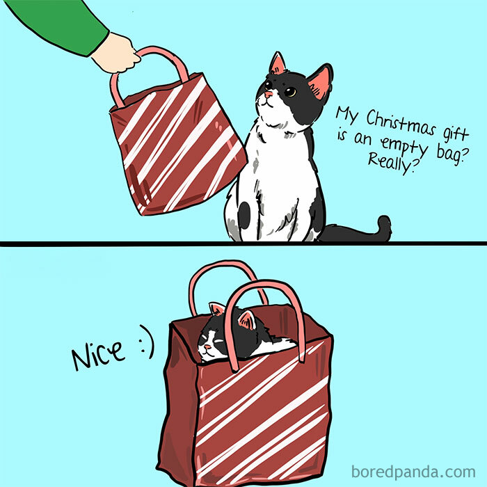 Cat enjoying an empty gift bag, showcasing funny Christmas meme humor.