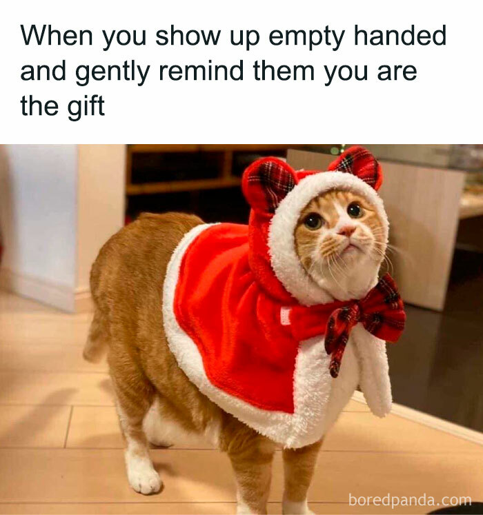 Cat in Santa costume with text: "When you show up empty-handed and remind them you are the gift." Funny Christmas meme.