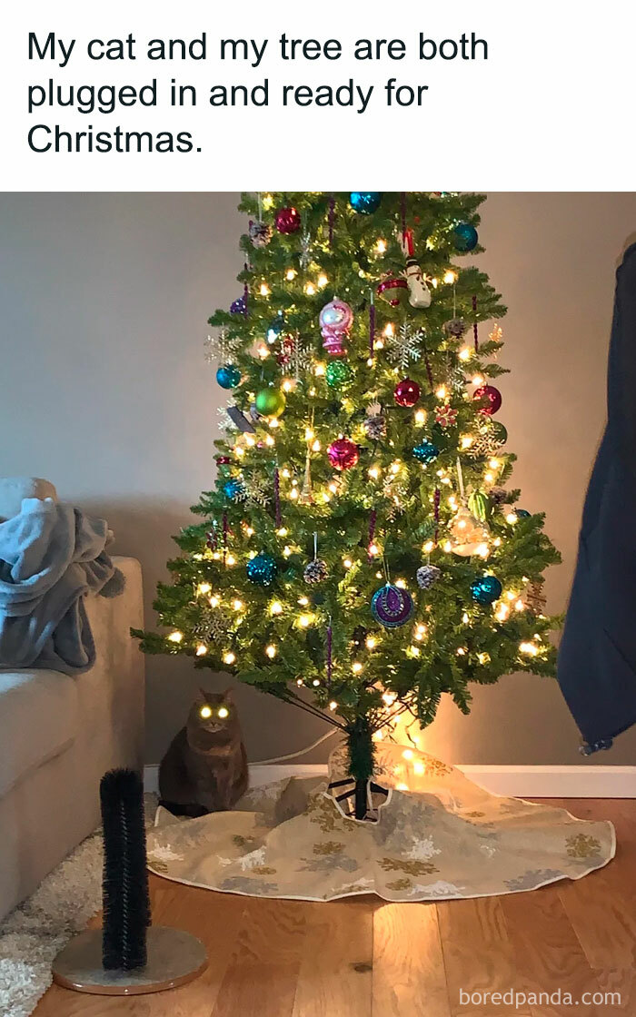 Funny Christmas meme with a cat under a decorated tree, lights on.