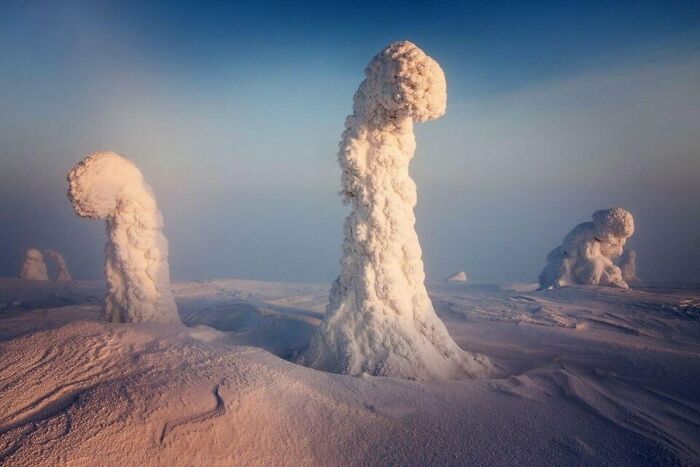 Unusual ice formations resembling snowy trees under a clear sky, associated with interesting historical weather phenomena.