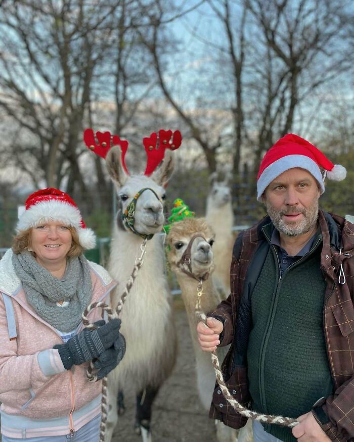 People with cute, funny Christmas animals wearing festive hats and antlers, posing outdoors.