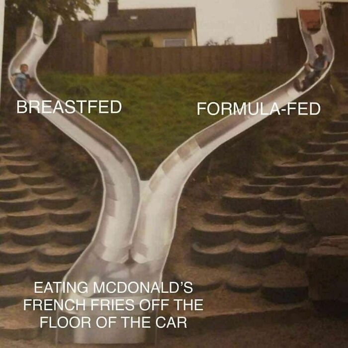 Funny parenting meme with a three-part slide labeled breastfed, formula-fed, and eating fries off car floor.