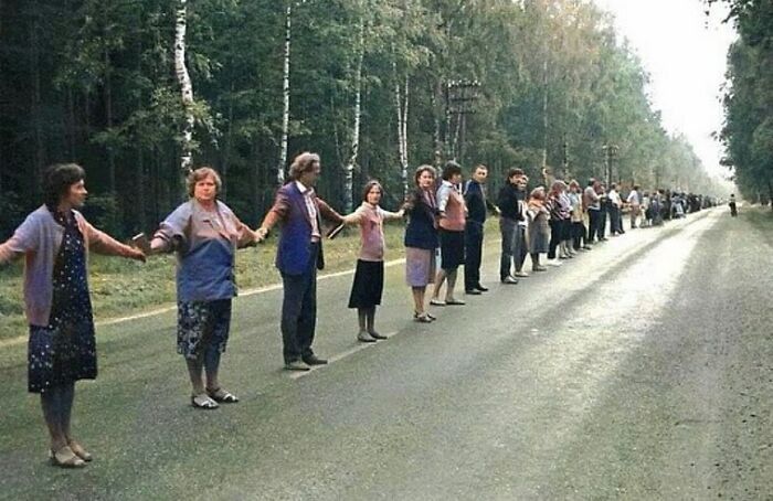 People forming a human chain along a road surrounded by forest, illustrating an interesting history event.