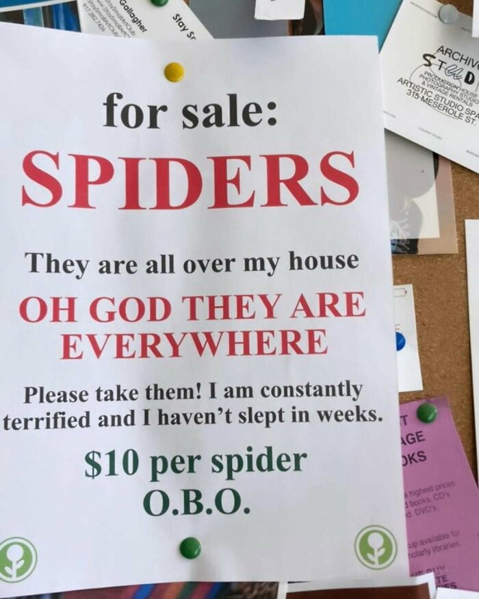 Funny sign in New York offering spiders for sale due to infestation, humorously priced at $10 per spider.