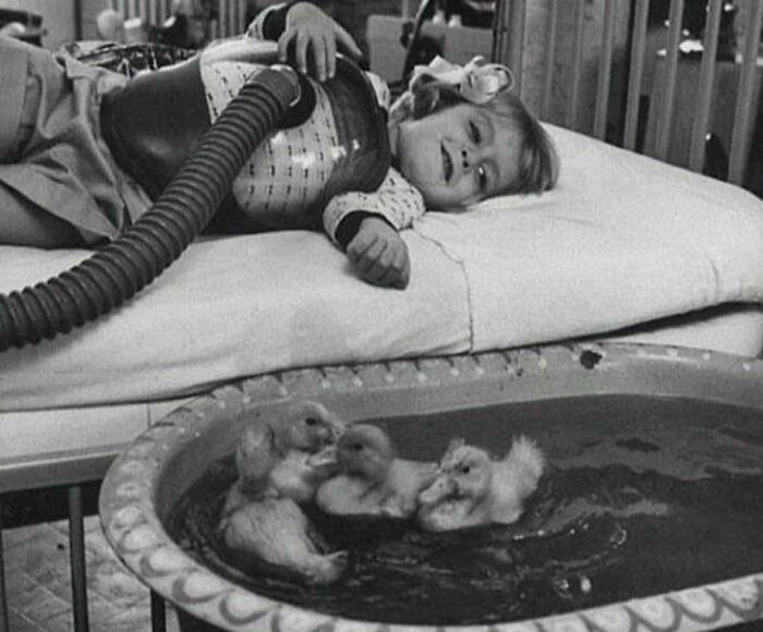 Child in a medical device watching ducklings swim in a small pool, capturing a moment in interesting history.