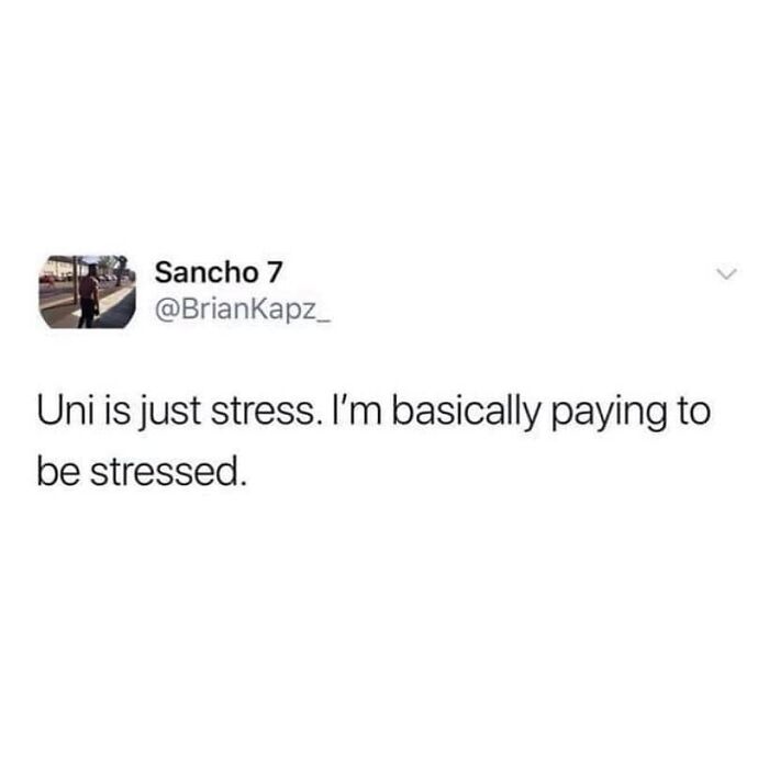 University Life meme about paying to be stressed as a student.