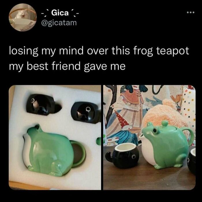 Frog-shaped teapot and cups on display, showcasing memes and culture in gift humor.