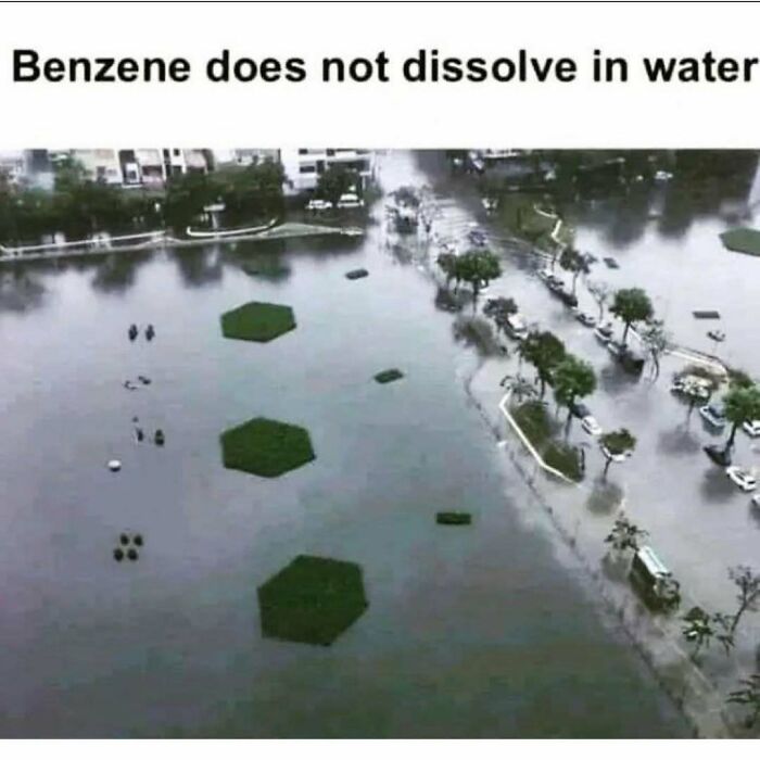 Flooded area showing patches of land, captioned "Benzene does not dissolve in water" for science memes.