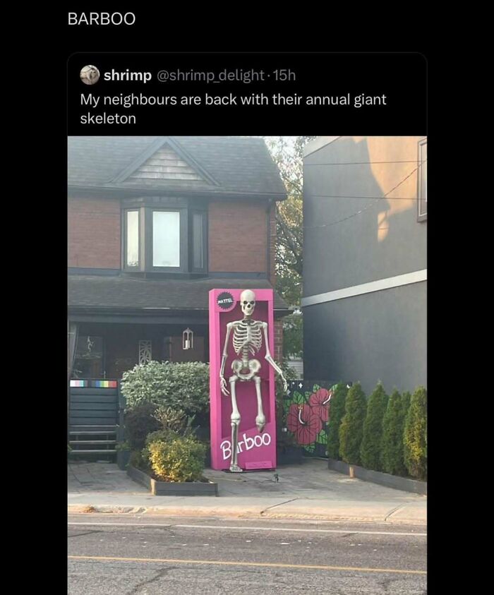 Giant skeleton in a pink "Barboo" box outside a house; a humorous cultural meme display on the street.