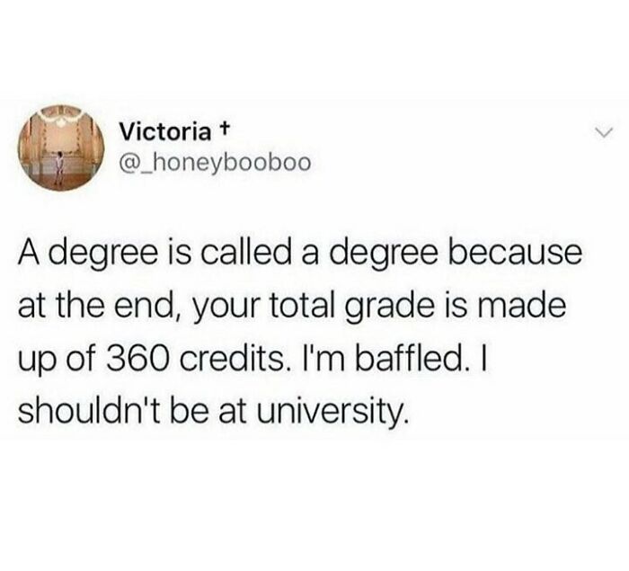 University life meme about credits and degrees, expressing confusion and humor in a tweet format.