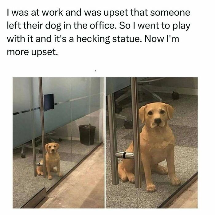 Funny pet meme of a lifelike dog statue in an office, humorously mistaken for a real dog.