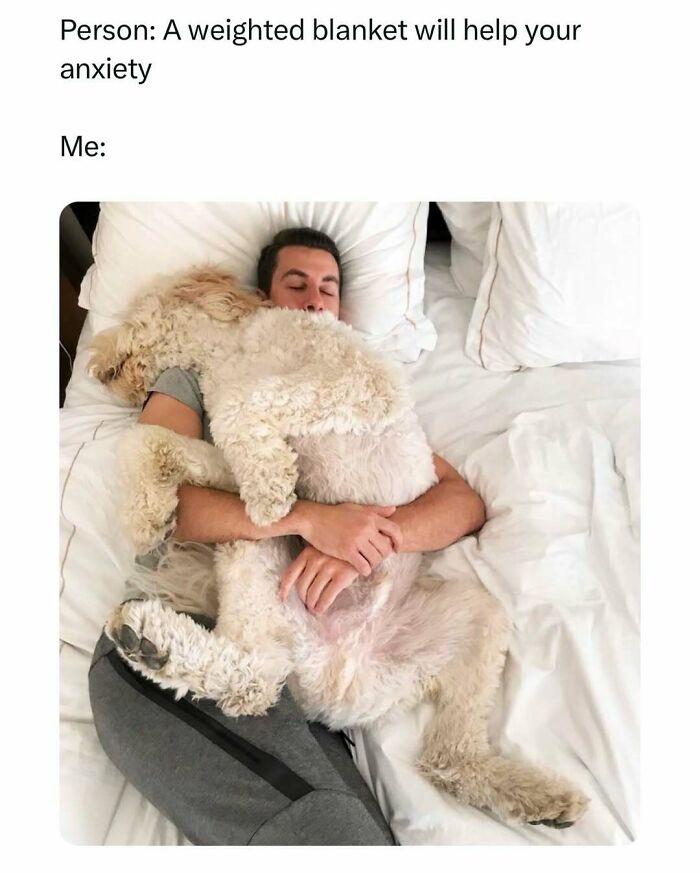 Person hugging a large, fluffy dog in bed, capturing funny pet memes essence.