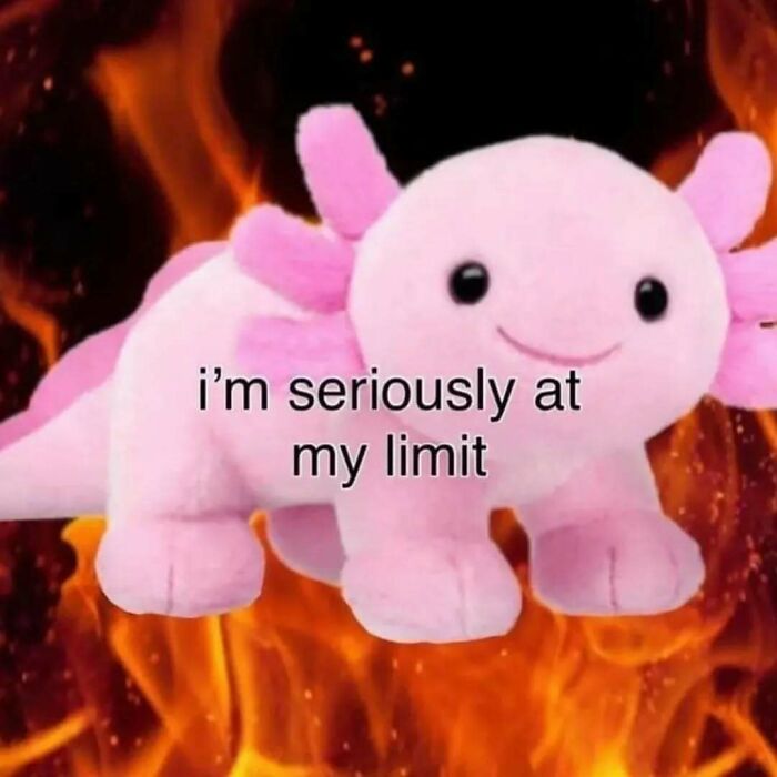 Plush pink axolotl with text "i'm seriously at my limit" surrounded by flames, representing relatable mental health meme.