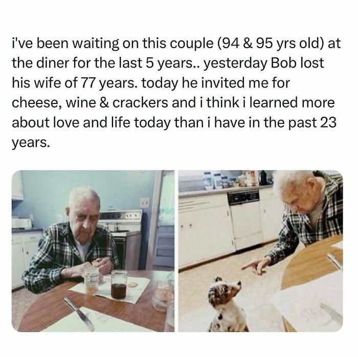 Elderly man at a table sharing wholesome kindness with cheese and wine; interacting with a small dog in a cozy kitchen.