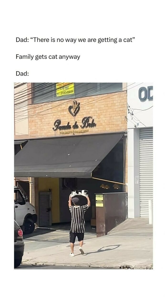 Dad holding cat above head outdoors, illustrating funny pet memes.