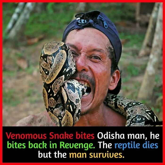 Man bites back at snake in surprising turn of events.