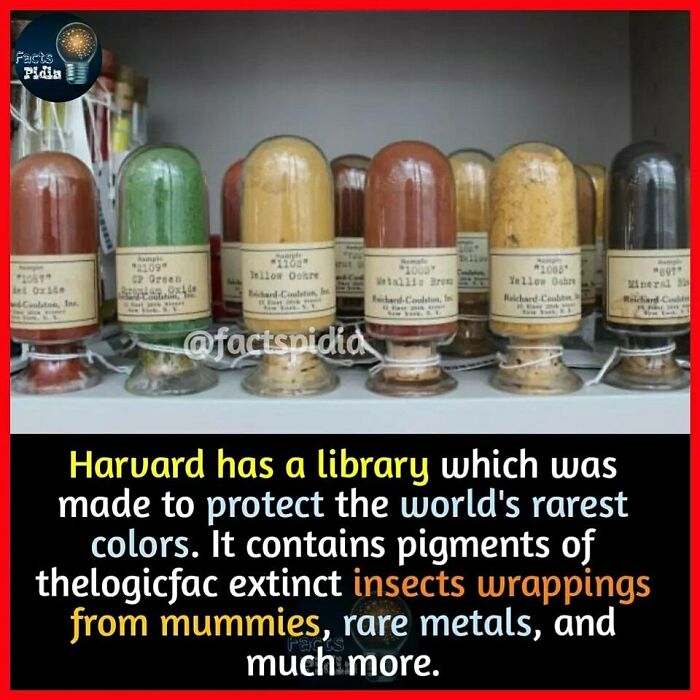 Jars of rare color pigments in Harvard's library display, including metallic browns and yellow ochres.