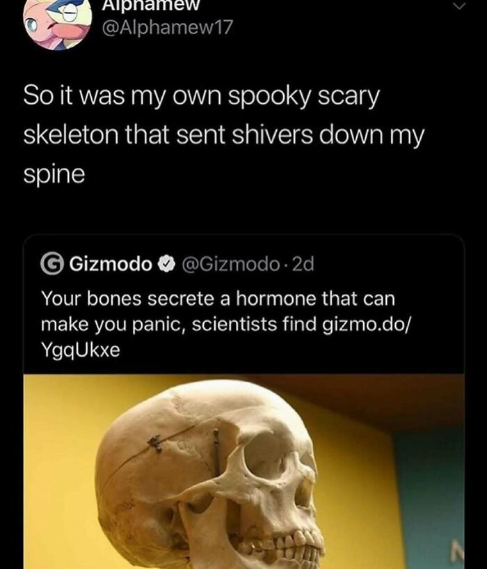 Funny and unhinged meme about skeletons causing panic, featuring a skull and humorous tweet exchange.