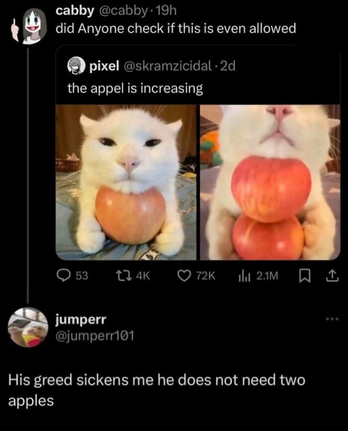 Cat humorously holding two apples in a meme about greed and culture.