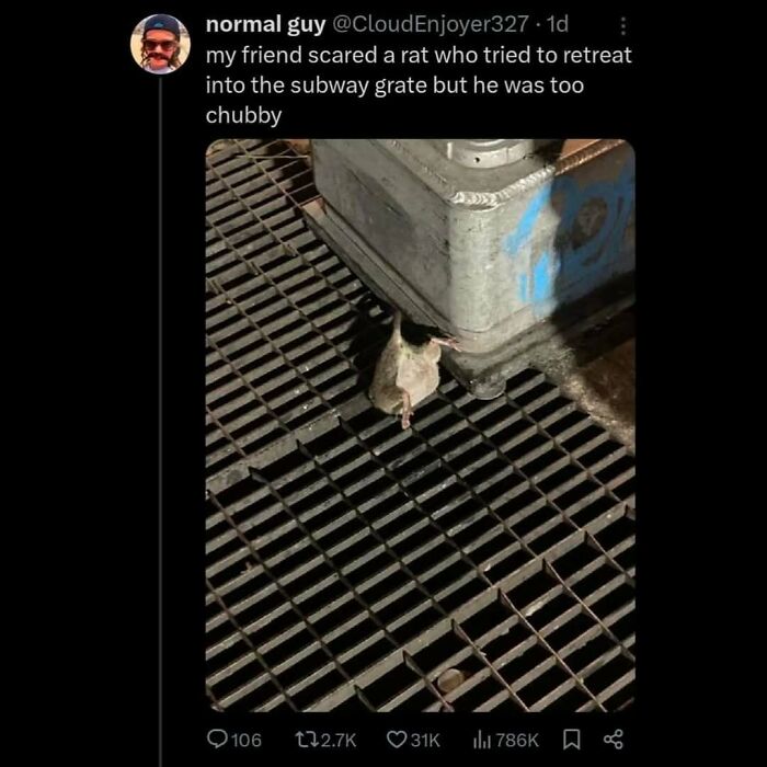 Chubby rat stuck in subway grate, reflecting on meme culture's humor and unpredictability.