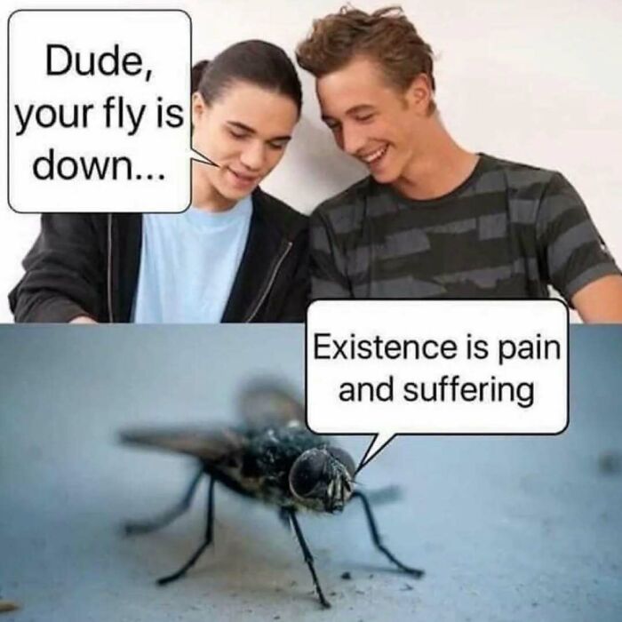 Two people laughing at a meme, showing a fly with a speech bubble about existential humor.