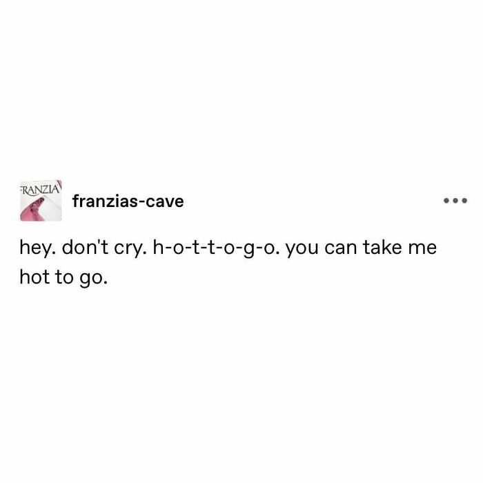 Meme text image from franzias-cave: "hey. don't cry. h-o-t-t-o-g-o. you can take me hot to go."