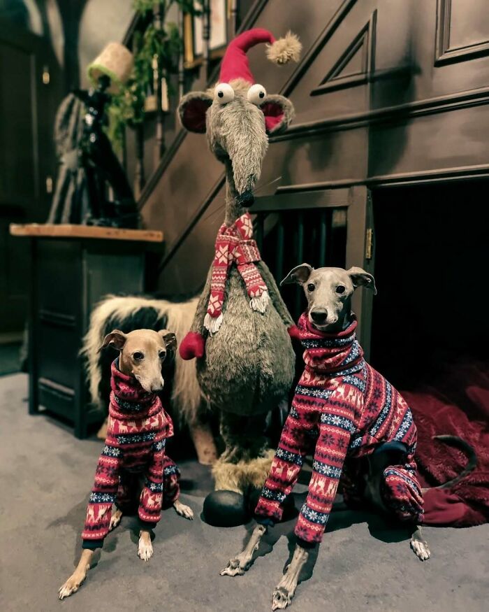 Two dogs in festive sweaters with a funny Christmas animal statue in Santa hat.