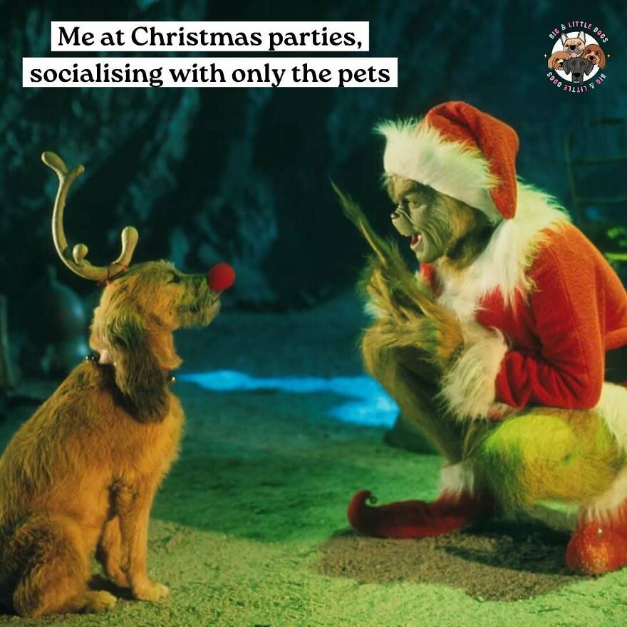 Grinch in Santa costume talking to dog with antlers; funny hilarious Christmas meme about parties with pets.