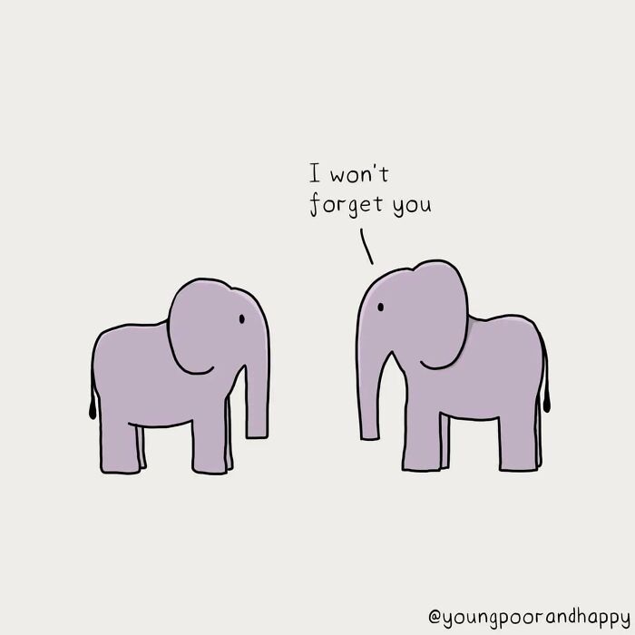 Two minimalistic elephants with one saying, "I won't forget you," showcasing humorous illustration.