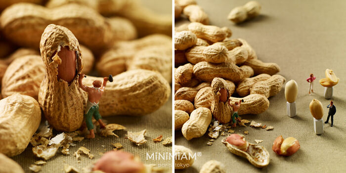 Miniatures of people working with peanuts, creatively designed by a duo, featuring a tiny world of foods and things.